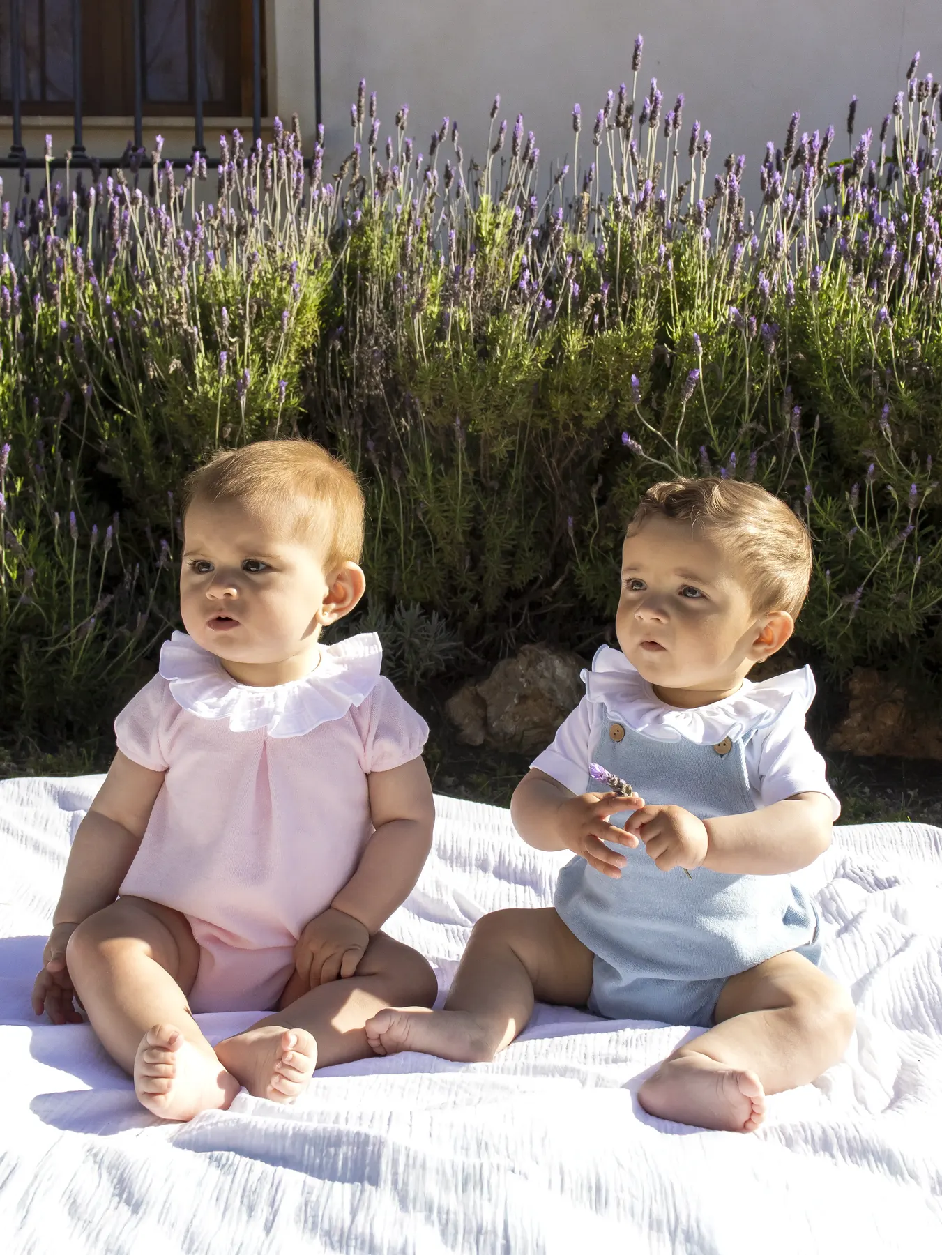 Calamaro Baby — Summer