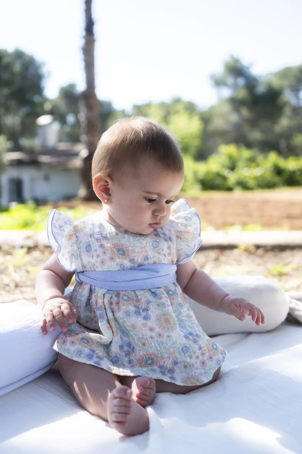 Calamaro Baby — Summer